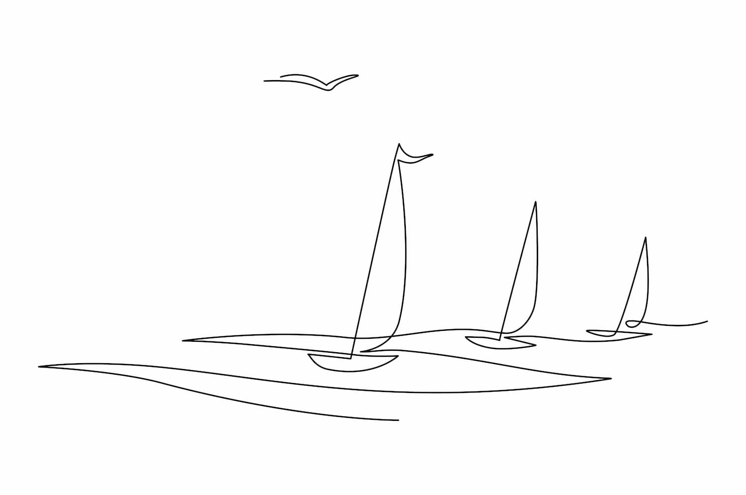 sail boats