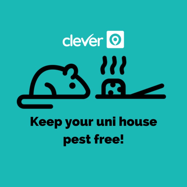 Effective Strategies for Pest Control: Keeping Your Environment Pest-Free