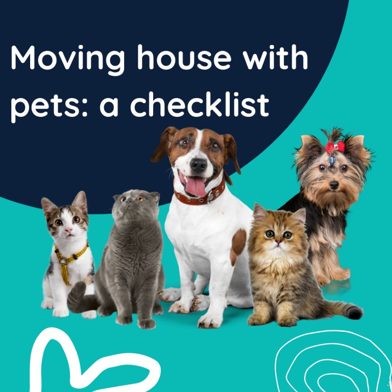 Moving home with pets: a checklist