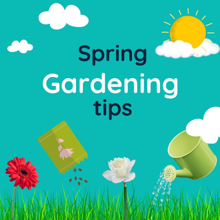Spring gardening tips